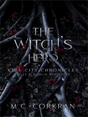 The Witch's Hero - ebook